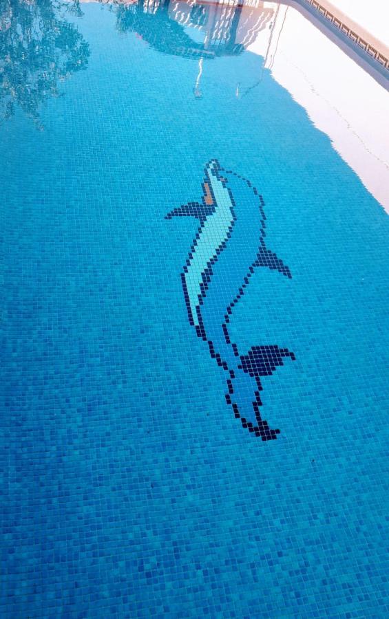 Flamingo Vila Alicante San Pedro del Pinatar Dış mekan fotoğraf