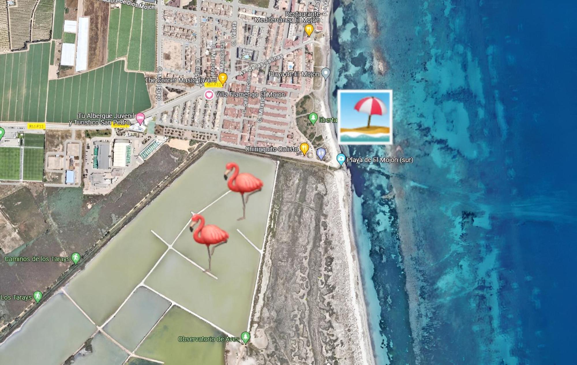 Flamingo Vila Alicante San Pedro del Pinatar Dış mekan fotoğraf
