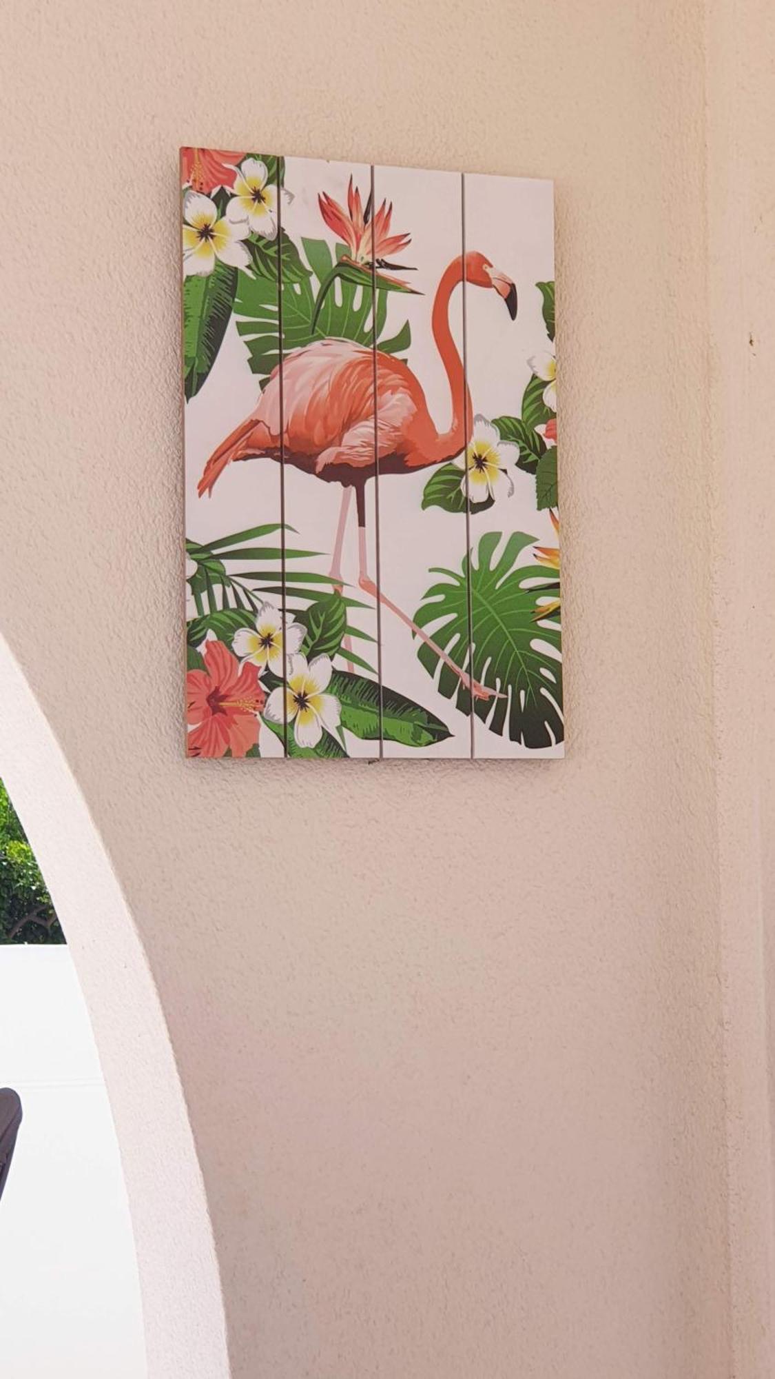 Flamingo Vila Alicante San Pedro del Pinatar Dış mekan fotoğraf